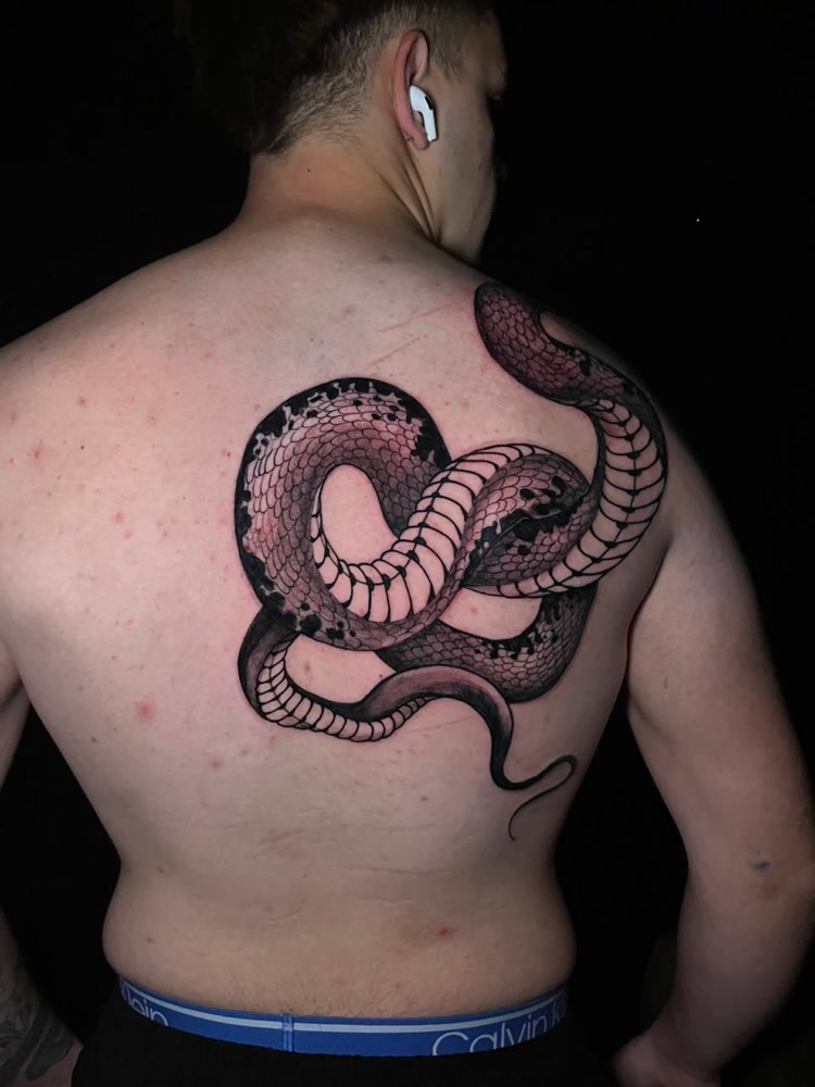 Coiled snake full back blackwork piece