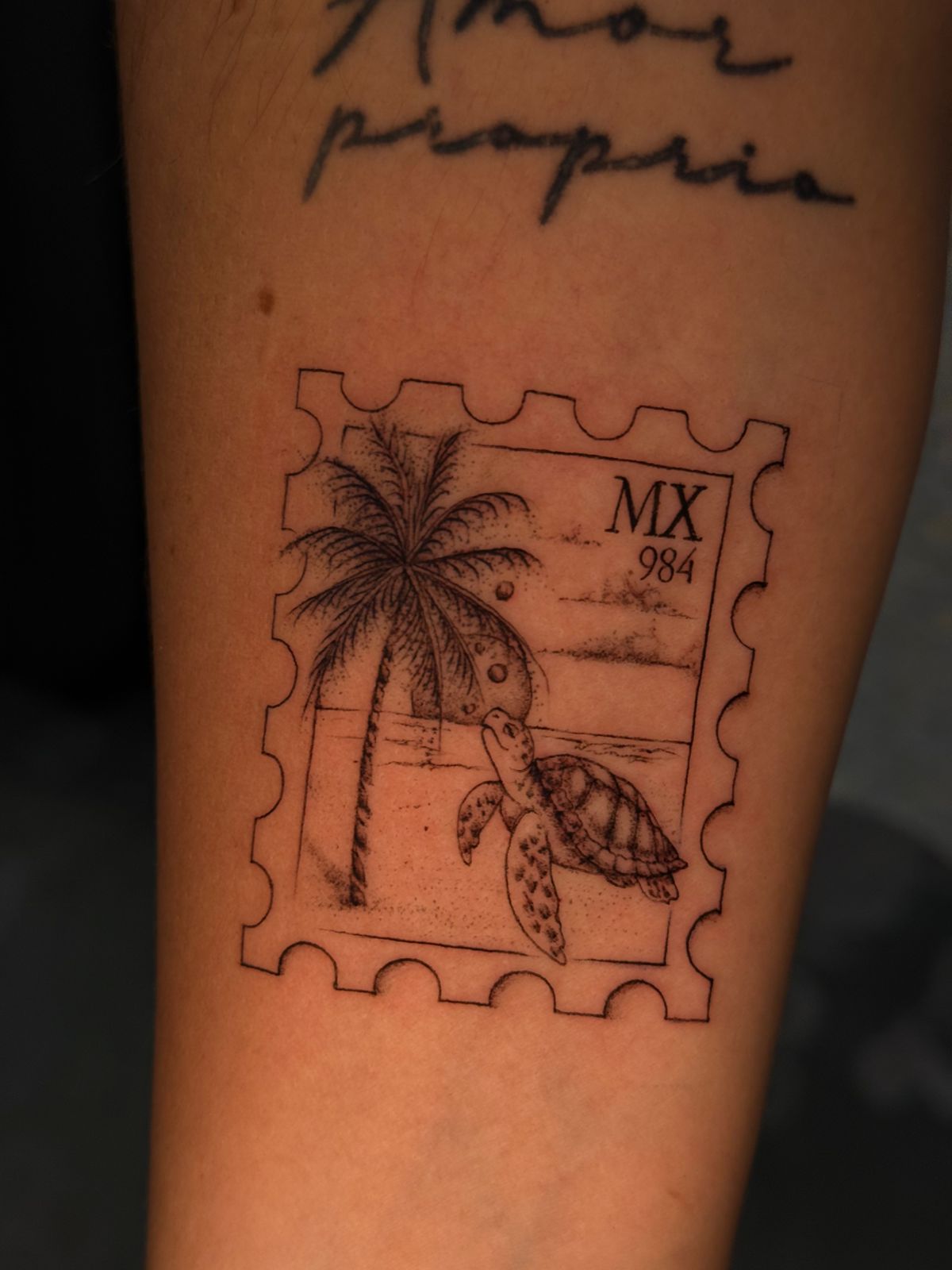 Mexico postcard stamp with turtle and palm tree