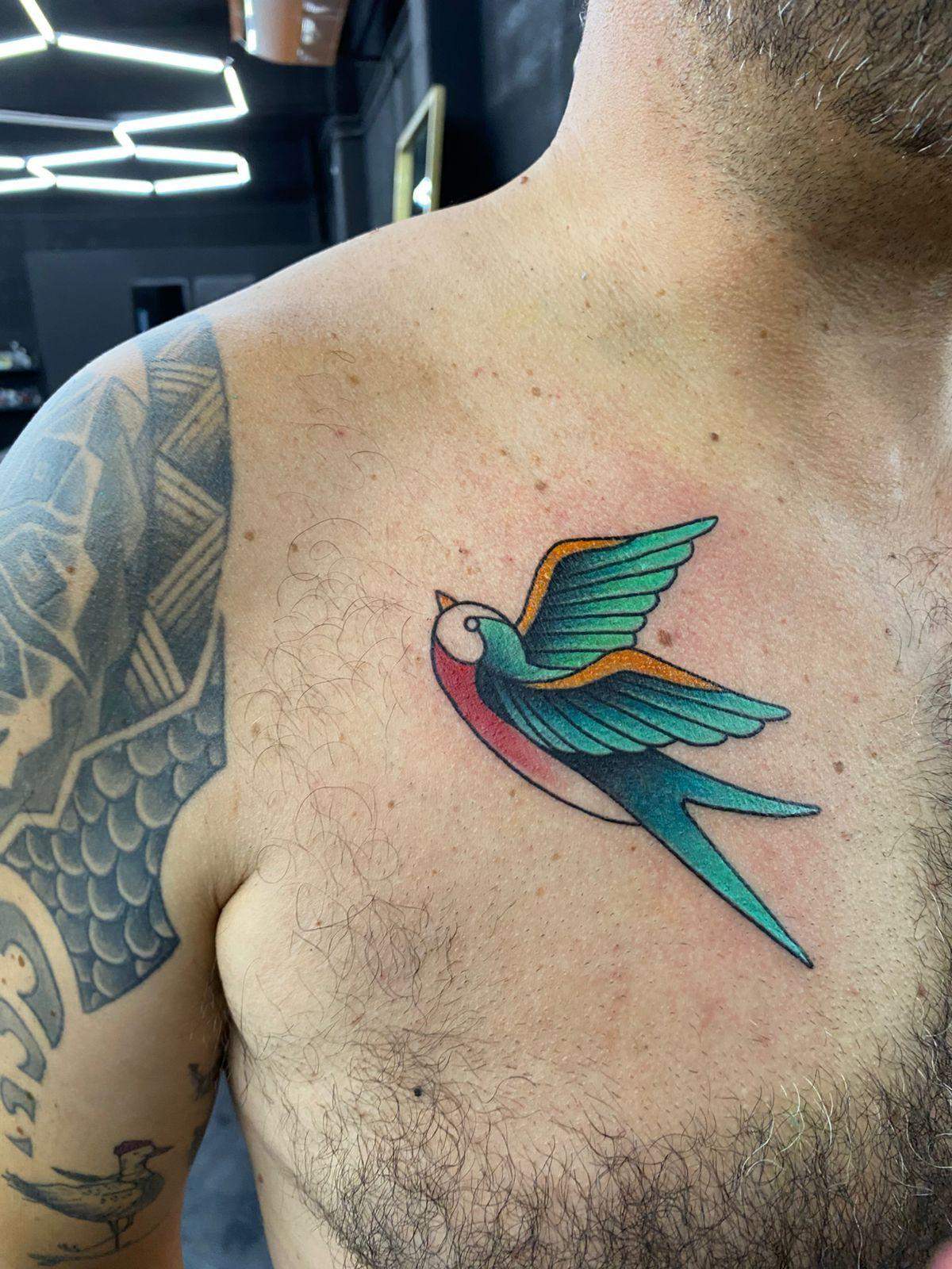 Traditional colorful swallow bird